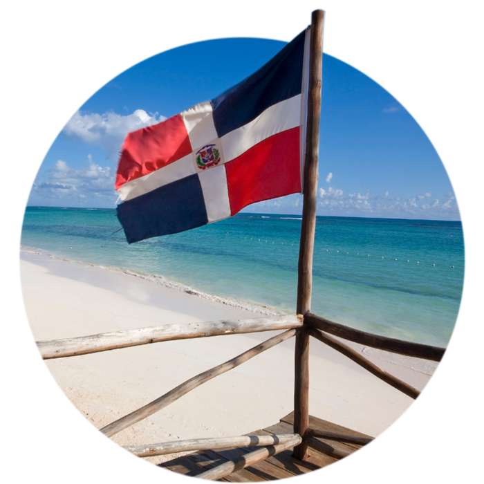 dr flag on beach 1