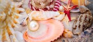 seashell pearl symbolism