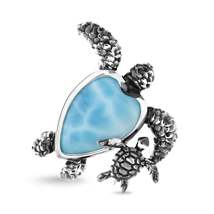 Turtle Charm