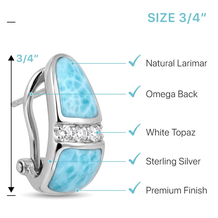 Omega Earrings 